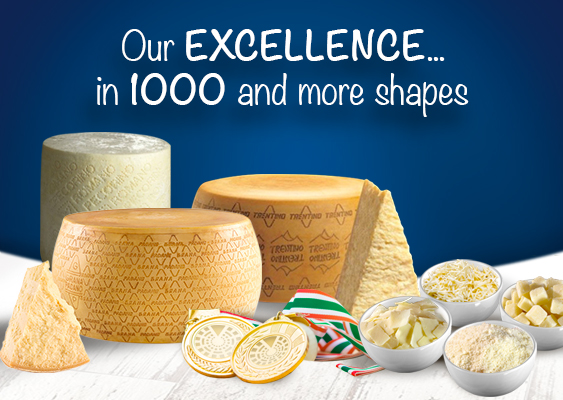 Our EXCELLENCE… in 1000 and more shapes